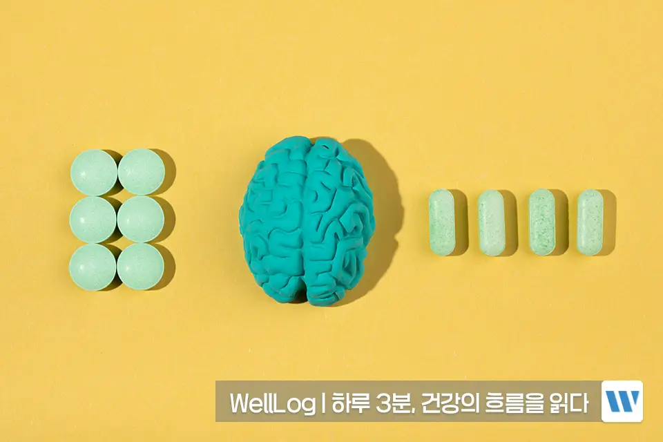 포스파티딜세린 추천 영양제