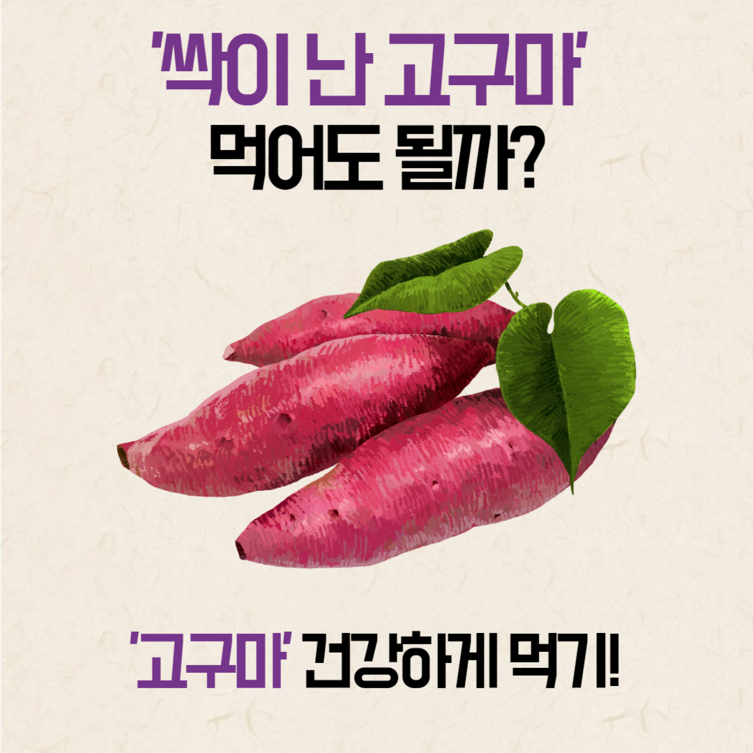 검은반점고구마