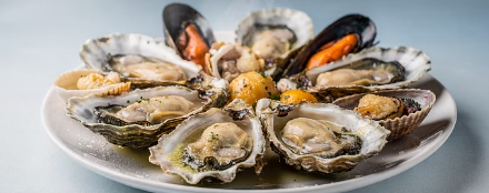 노로 바이러스 장염 증상