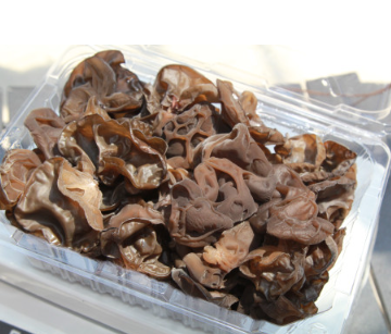 긍정농부차씨 목이버섯