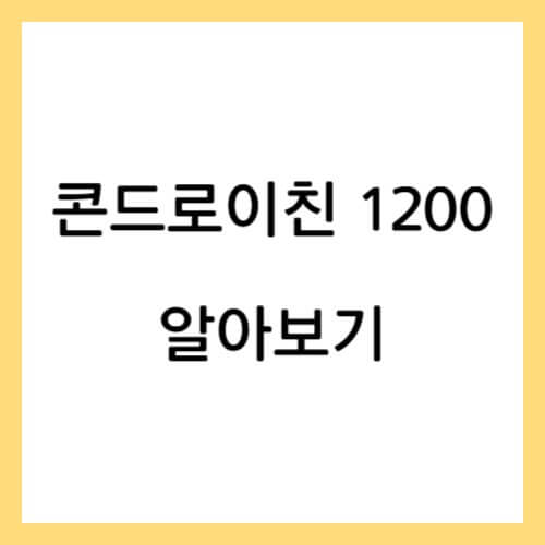 콘드로이친