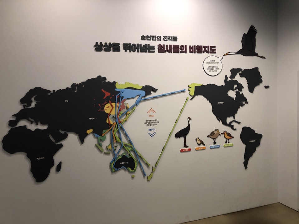 민수랜드-순천만자연생태관 철새들의비행지도
