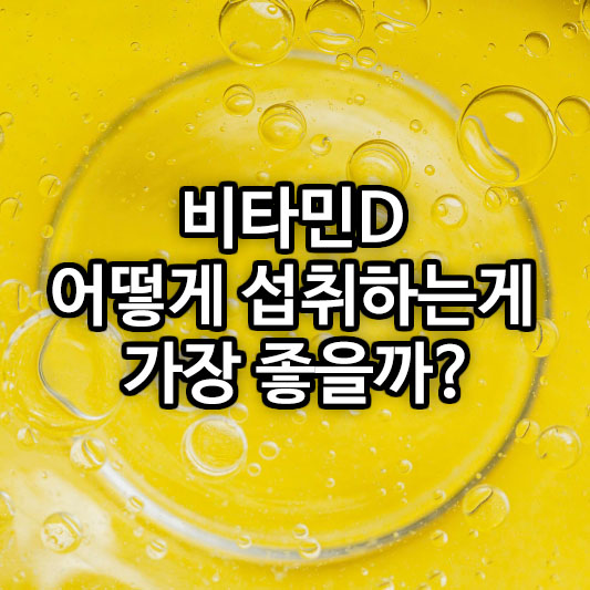 비타민D 어떻게 섭취하는게 가장 좋을까?