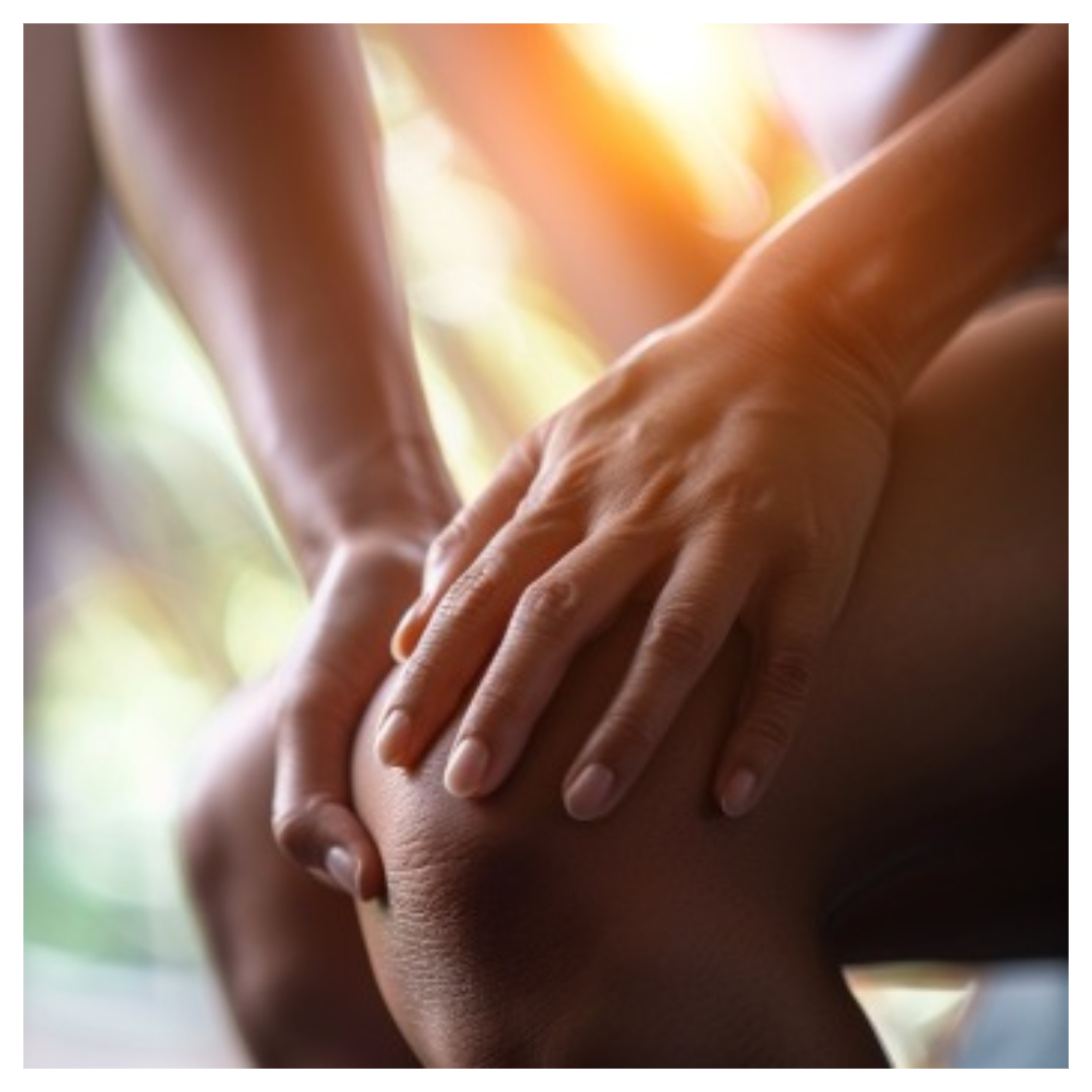 콘드로이친과 관련된 사진입니다.