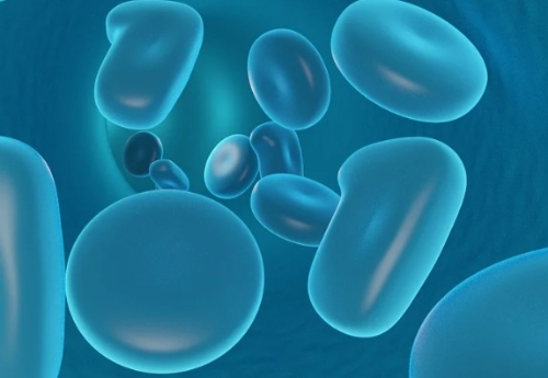 합성 백혈구(Synthetic Leukocytes)를 활용한 감염 및 염증 치료