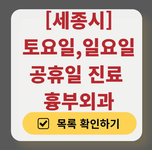 세종시 주말 토요일 일요일 흉부외과 진료 병원 목록 ❘ 공휴일 진료 영업 병원 리스트 찾기
