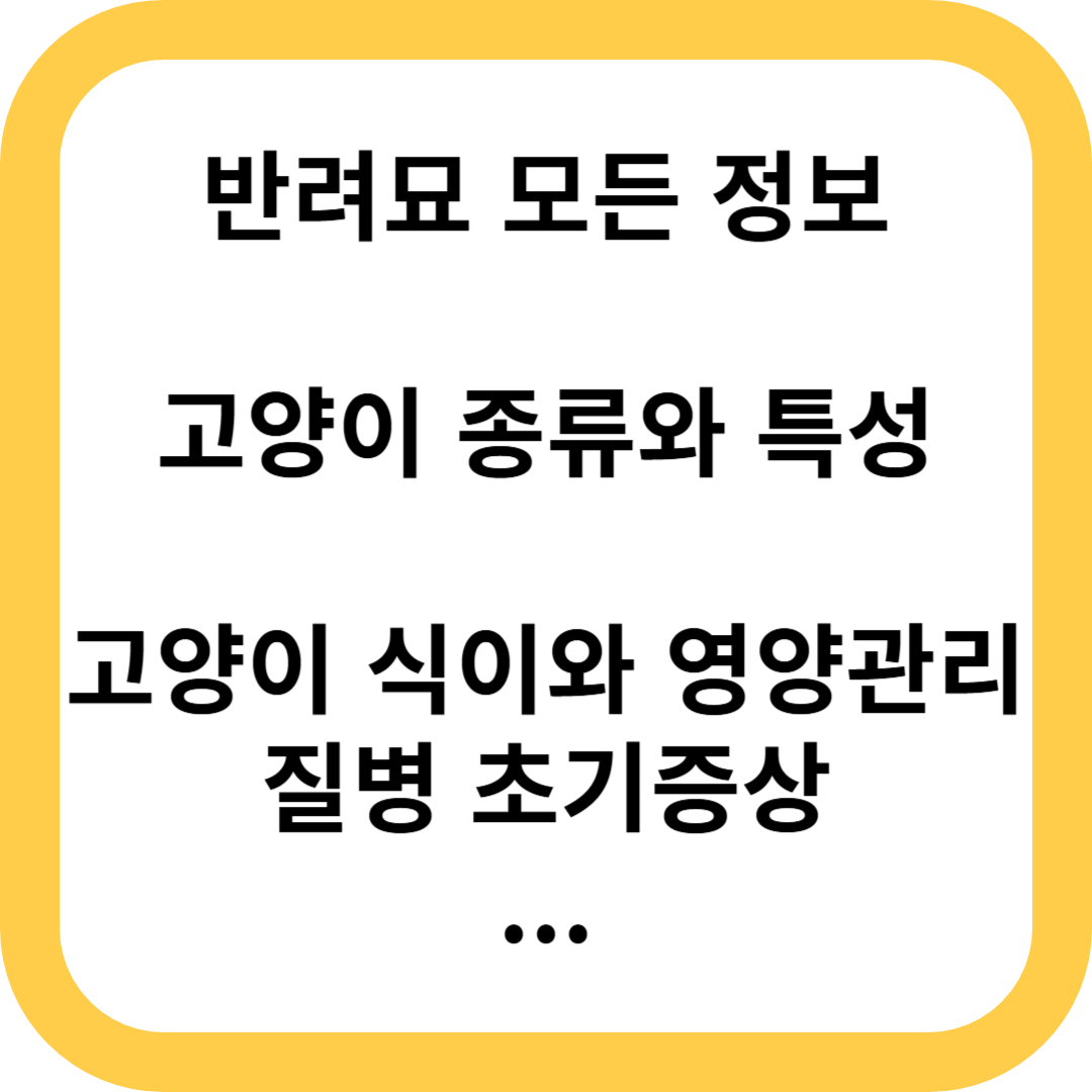 고양이 반려묘