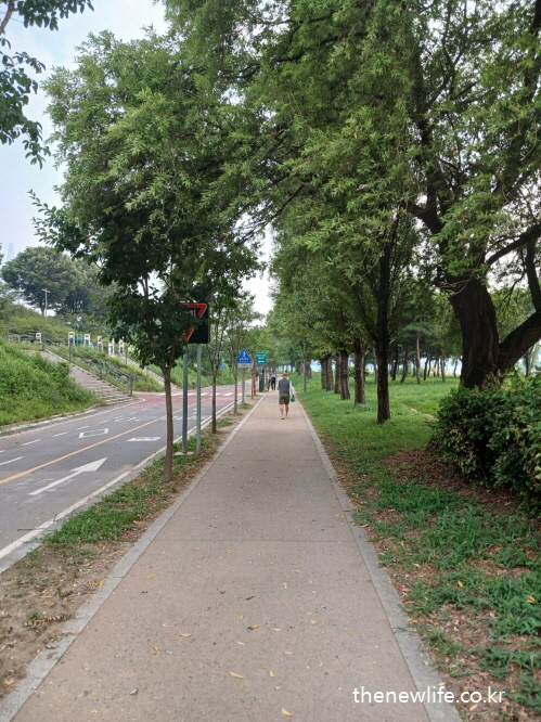 식사 후 졸음을 줄이기 위해 가볍게 걷기 좋은 숲속 산책길의 풍경