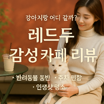 강아지랑 가기 딱 좋은 레드두 카페! 반려동물 동반 + 주차 편의까지 완벽한 이유