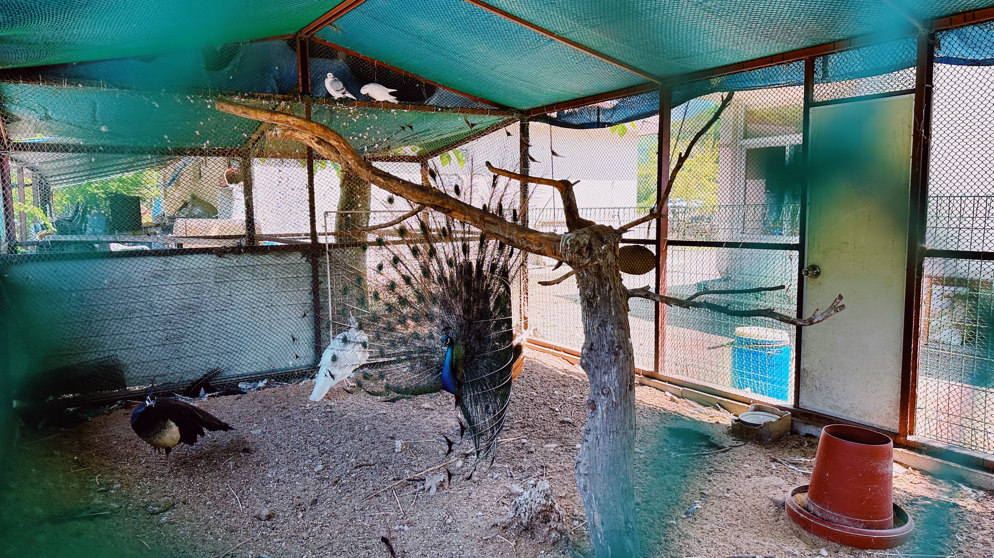 문강도예학습원