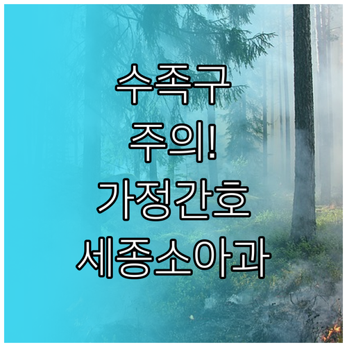 수족구 예방과 가정 간호 세종시 소아..