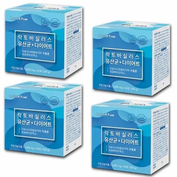 락토바실러스 유산균 다이어트