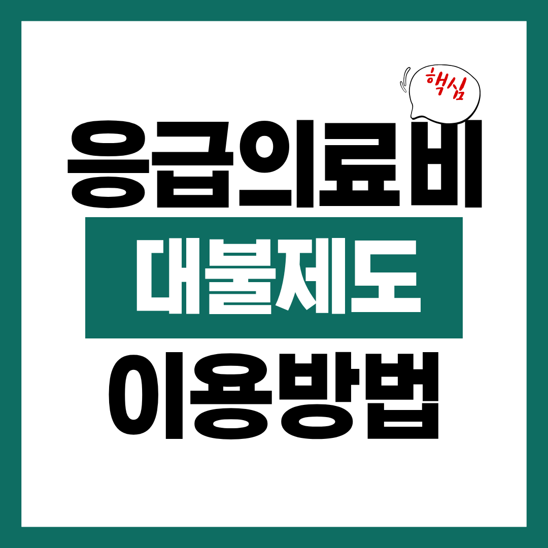 응급의료비 대불제도 지원대상과 필요서류 확인하고 바로 신청하기