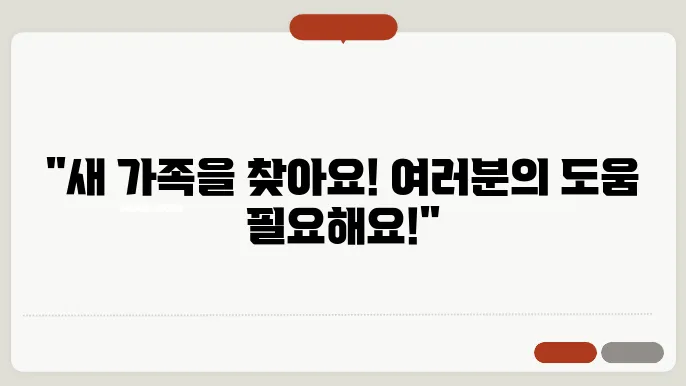 인천강아지보호소 강아지파양 입소절쳠 및 비용
