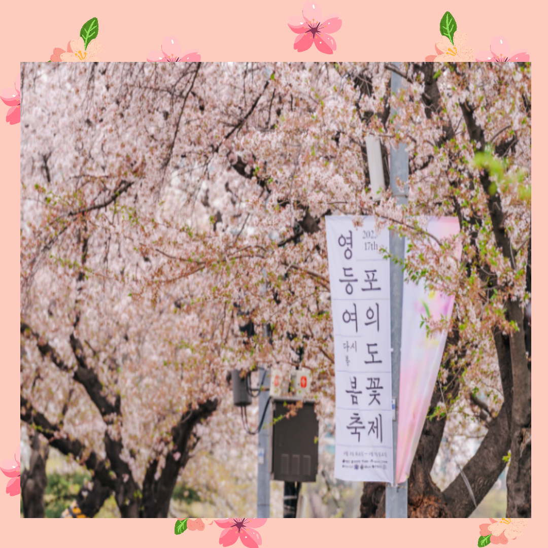 영등포여의도봄꽃축제