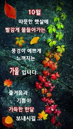 10월 인사말 예시 모음 영어_4