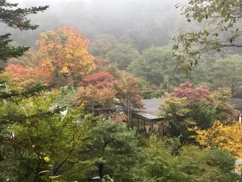 화담숲 예약하기 예약 방법 입장료 모노레일_8