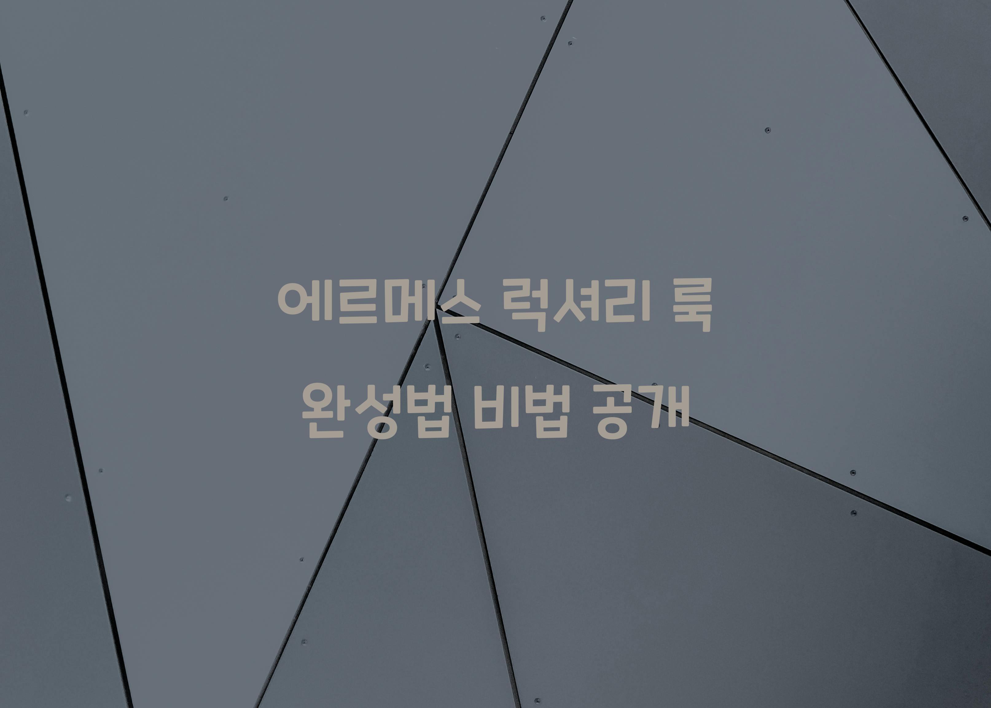 에르메스 럭셔리 룩 완성법