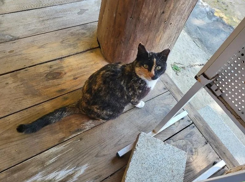 묘적사 템플스테이