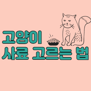 고양이-건식-습식-사료-장단점-대표섬네일