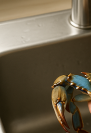 간장게장 황금레시피