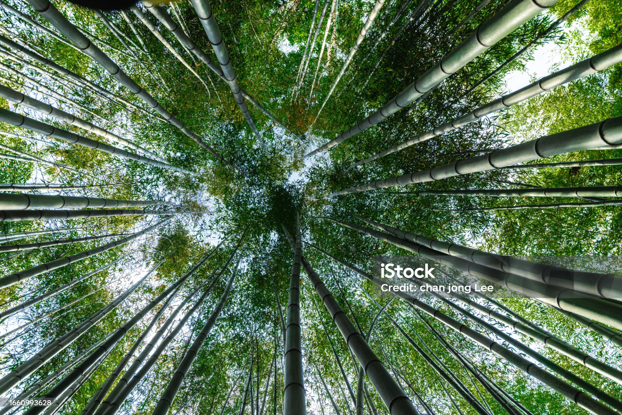 전남 여행 - 담양