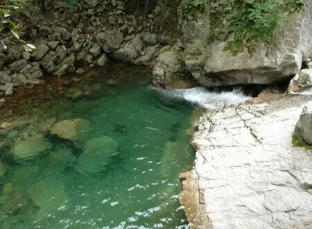 유명산 자연휴양림 계곡_2