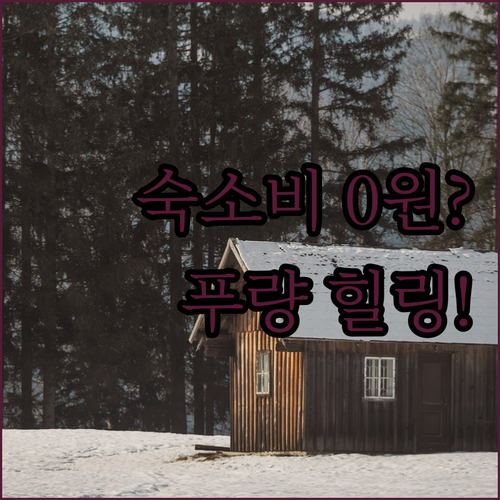 숙소 비용 걱정 끝 푸량 요리 고진 ..