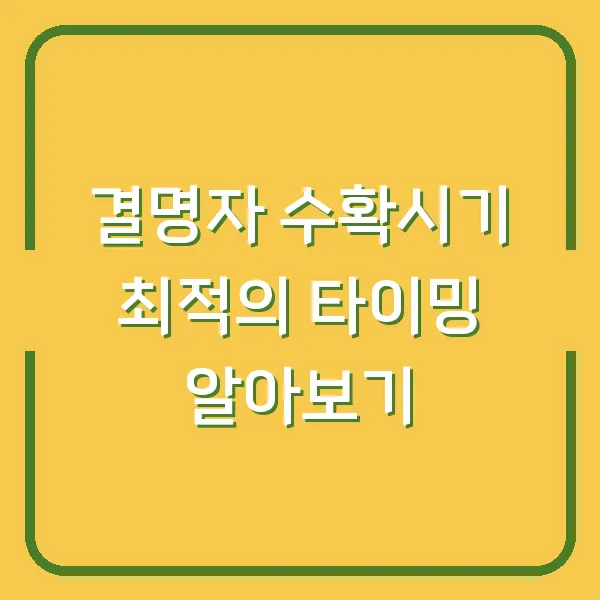 결명자 수확시기 최적의 타이밍 알아보기