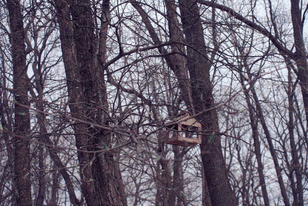 Dormant