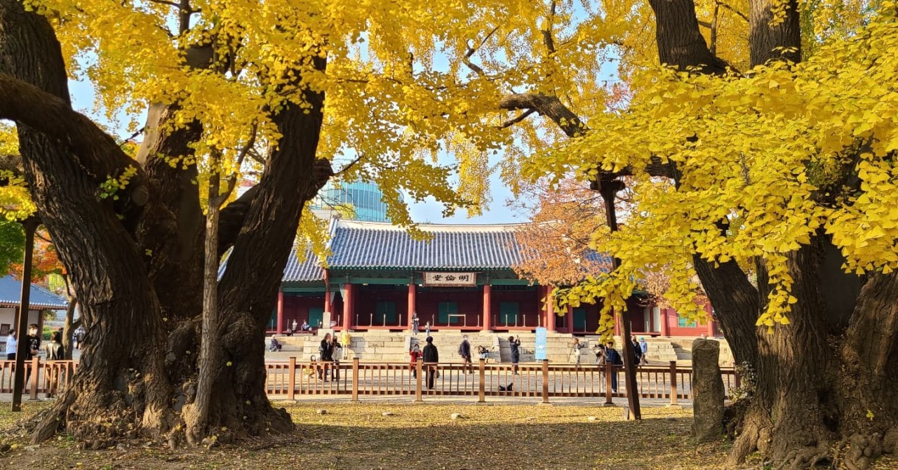 서울 단풍명소 BEST 07 데이트 코스 가족 나들이