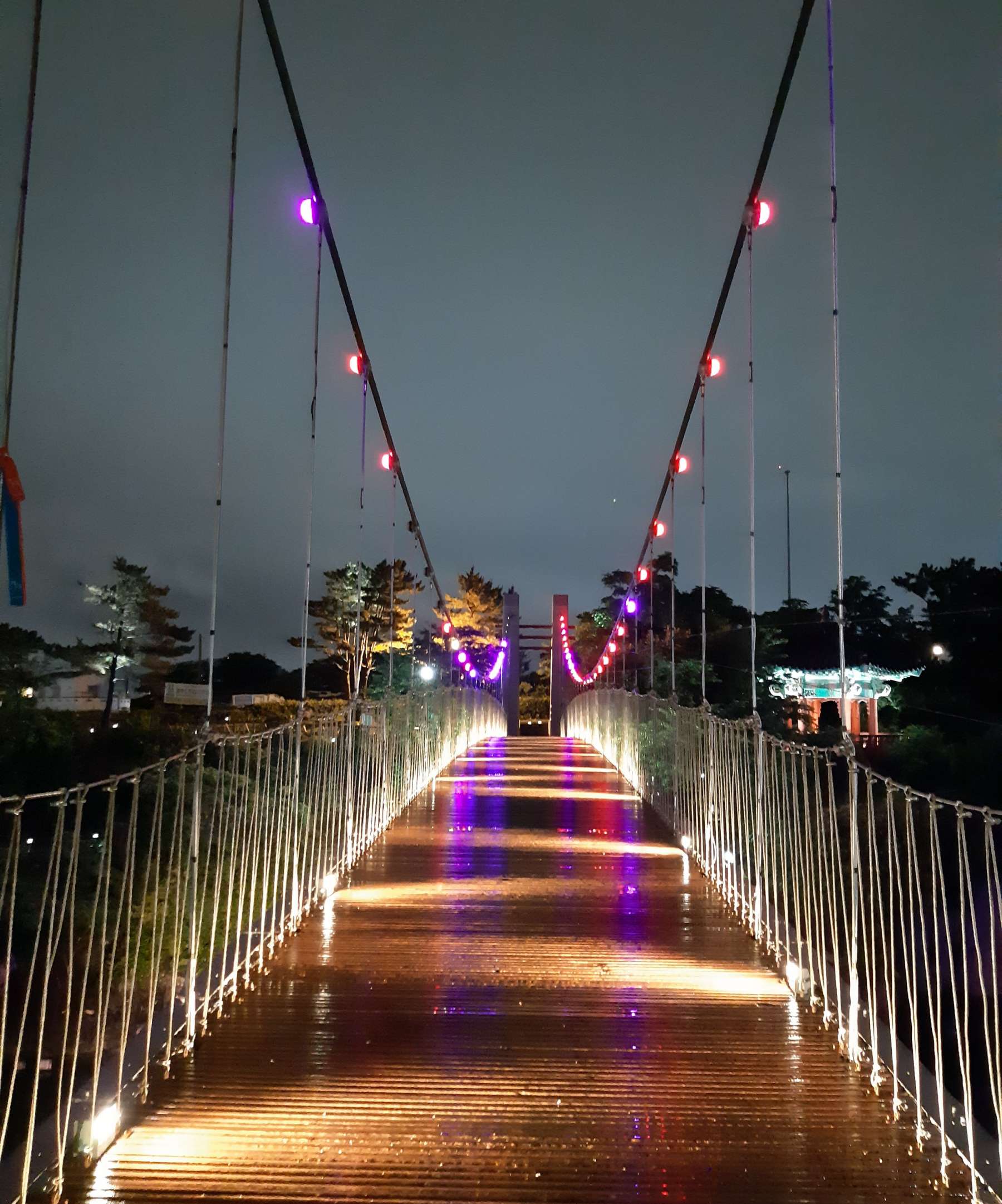 드디어 도착한 용연구름다리