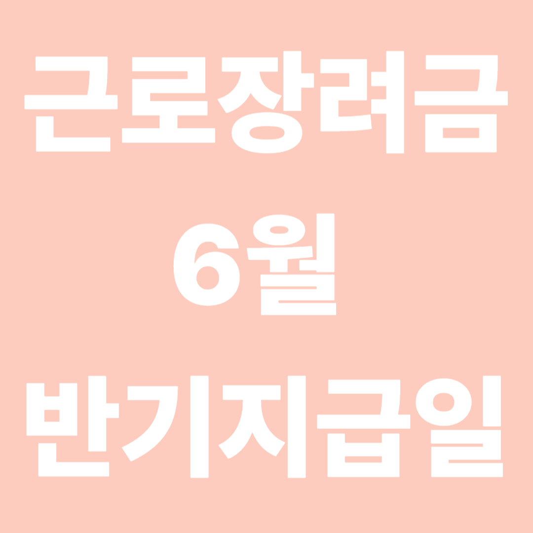 근로장려금 6월 반기 지급일