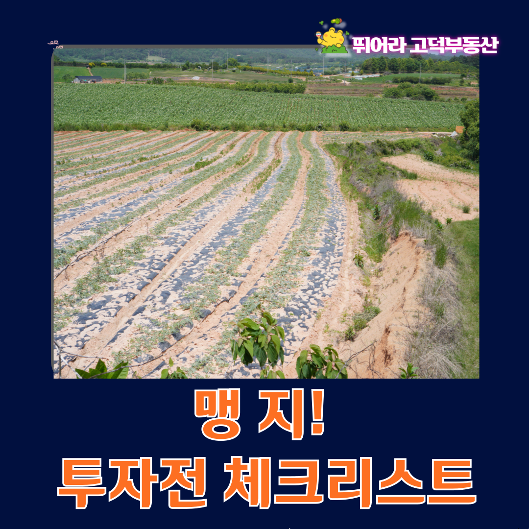 맹지 투자전 리스크. 해결. 체크포인트