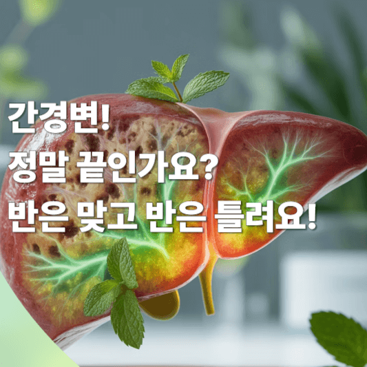 간경변, 정말 끝인가요? 반은 맞고 반은 틀려요!