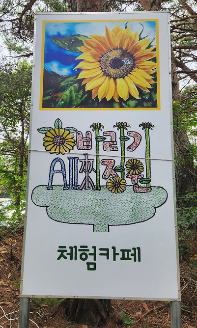 해바라기-치유-정원-심정래