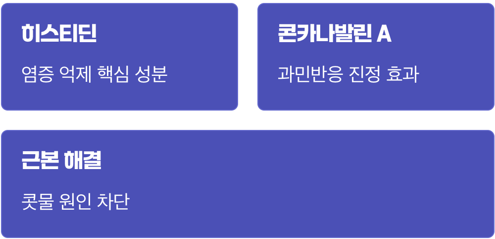 1. 콧물의 수도꼭지를 잠그는 특별한 성분