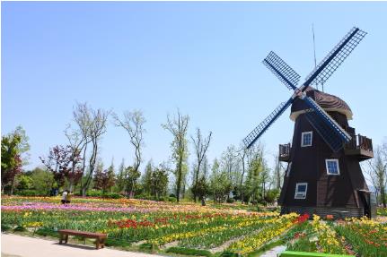 5월 국내여행지 베스트 10