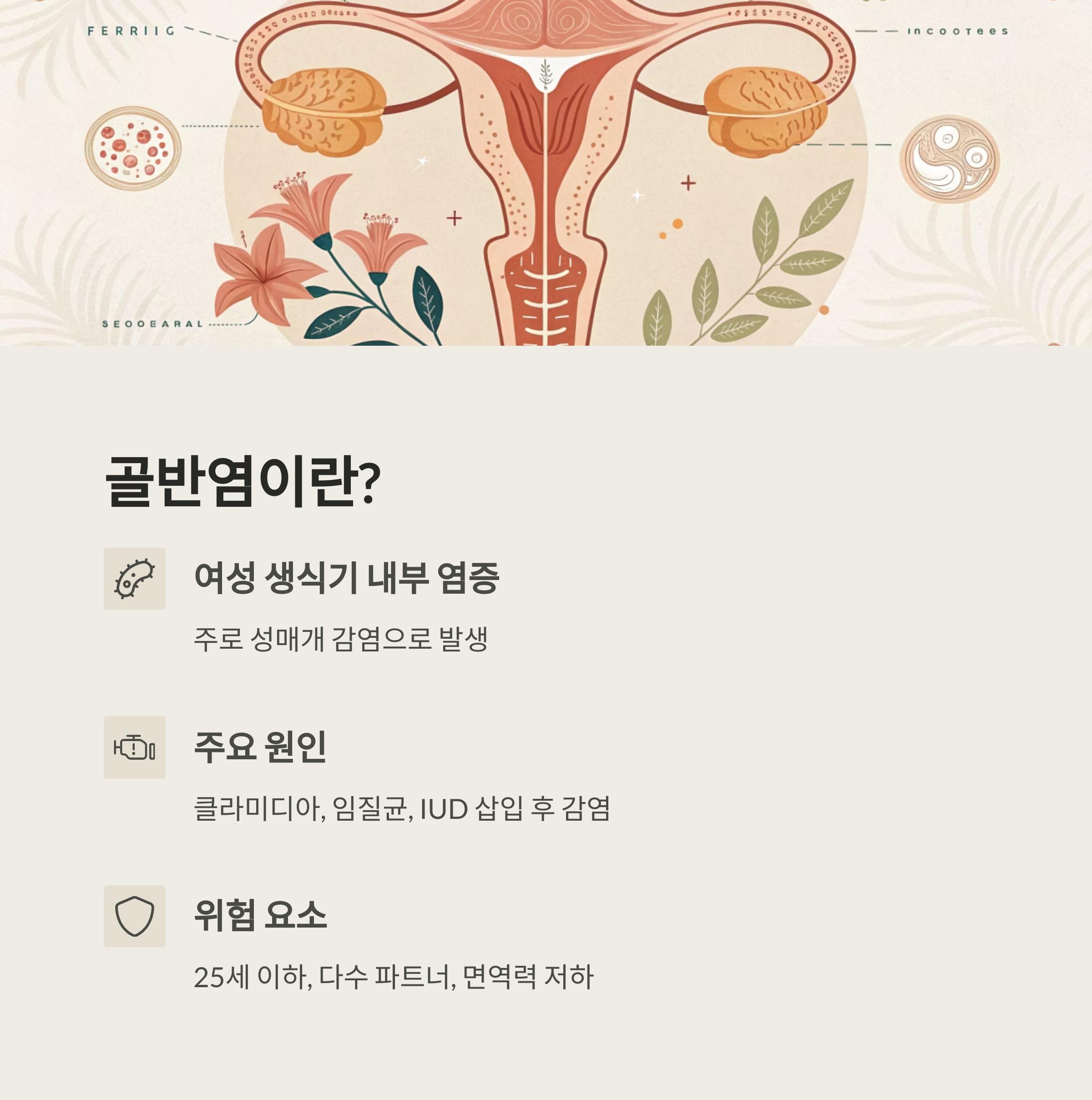 골반염이란? 원인과 위험 요소