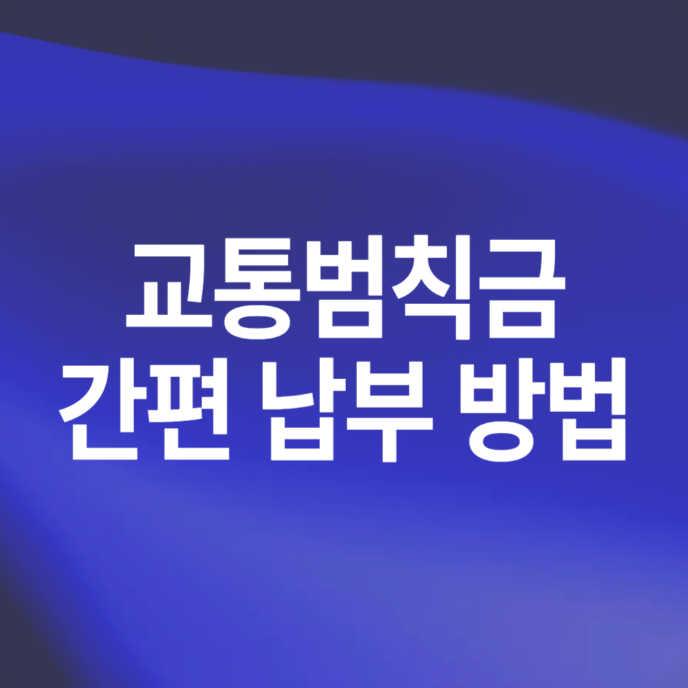 교통범칙금 인터넷 납부시스템 이파인 편의점 납부 방법