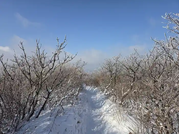 선자령 능선 숲길 겨울 산책