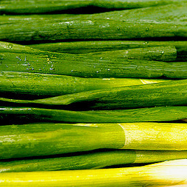 대파 효능과 부작용 고르는법