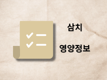 삼치 칼로리