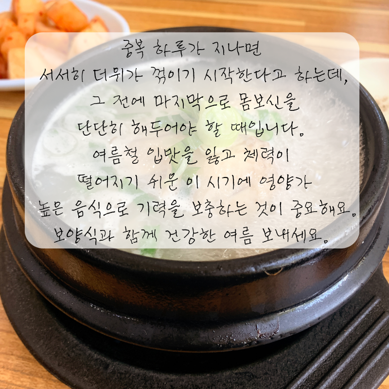 복날 인사말 중복날 문구 이미지