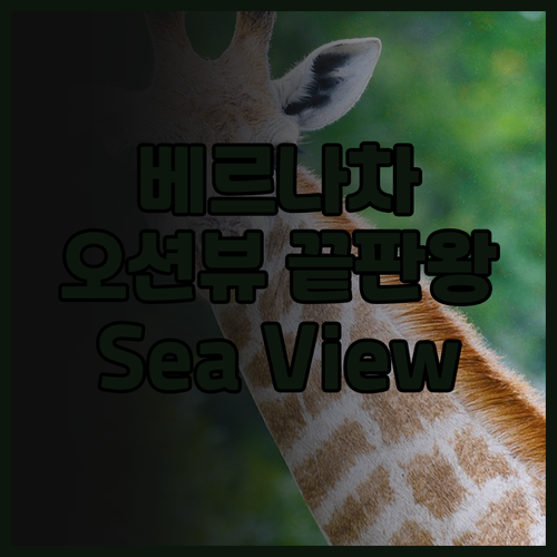 베르나차 Refilea Sea Vie..