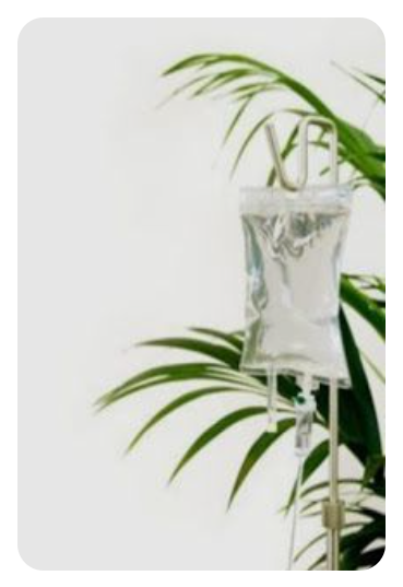 알리마주 마늘주사 효능