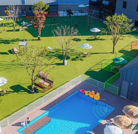 양평 애견펜션 숲속별빛