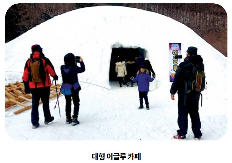 태백산 눈축제 프로그램5