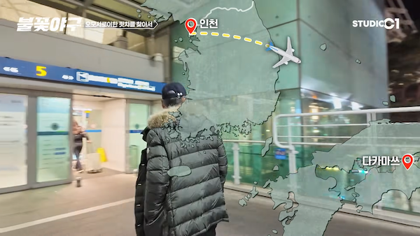 불꽃야구