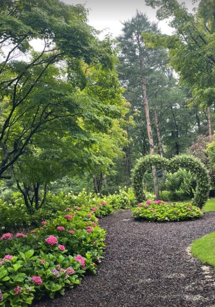 화담숲 수국축제